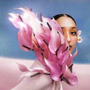 Where the butterflies go in the rain